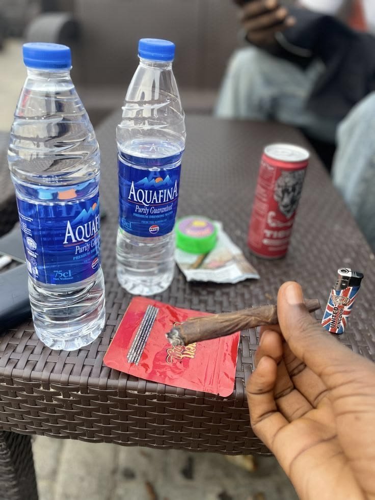 onlyyorubademon's tweet photo. Yoruba Demon Rule #2
Yoruba guy energy:
I go treat you well, talk sweet, make you laugh…
but I no go lose my head.
There’s difference between rizz and madness.
Who understand?
#YorubaDemonRules https://t.co/4Mqh1zSeYL