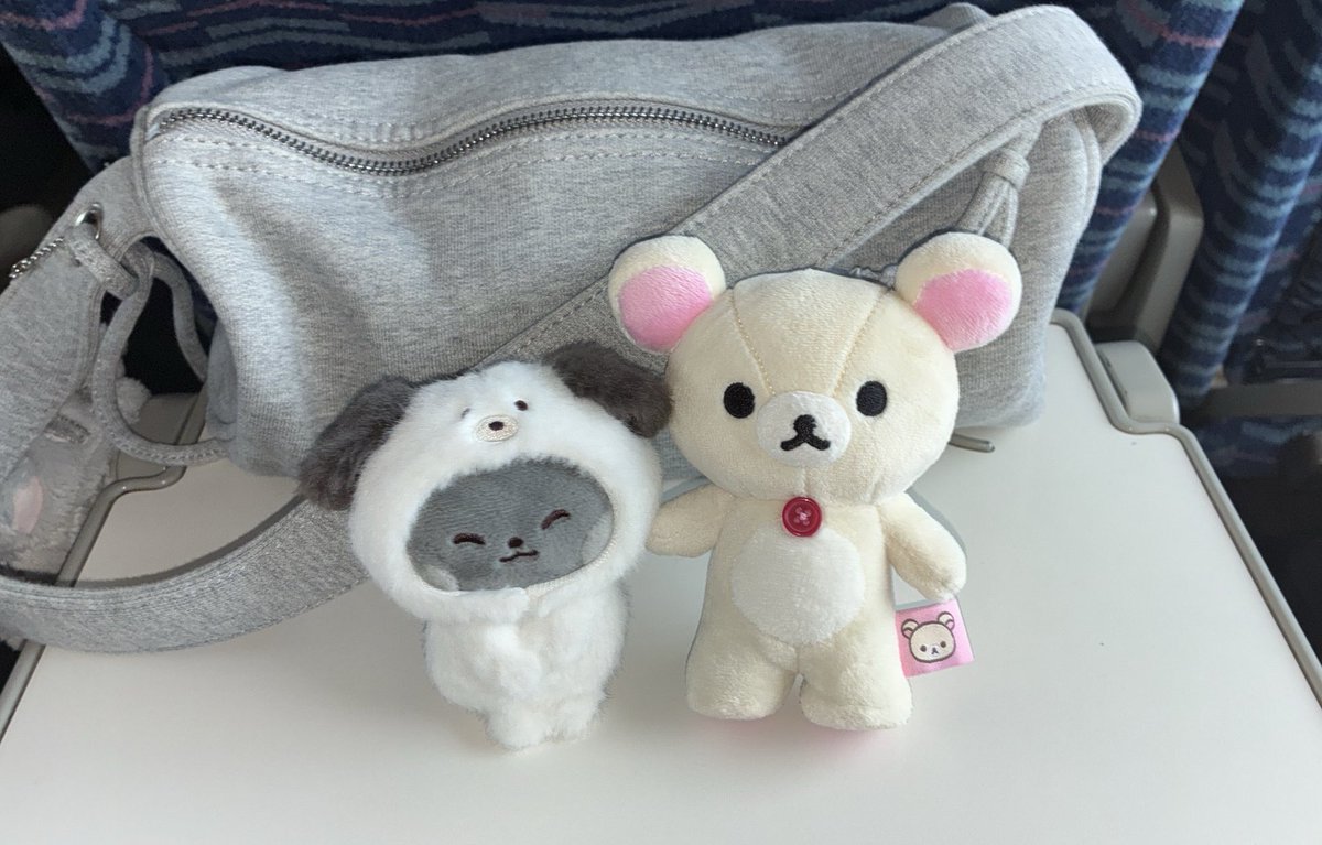 mugaeae's tweet photo. 뒷자리 여성분이 건네주신 웅멍이 https://t.co/eog60gNqUd