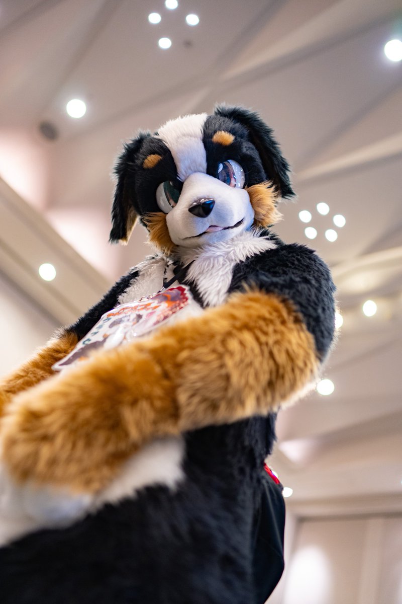 Bernese_Classe's tweet photo. https://t.co/tKg5jTtxao