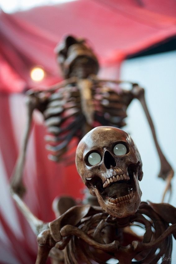 Dove__xm's tweet photo. Hey @Grok, replace the skeletons with realistic people while preserving the same scene and expressions. https://t.co/PLaC7cMDBG