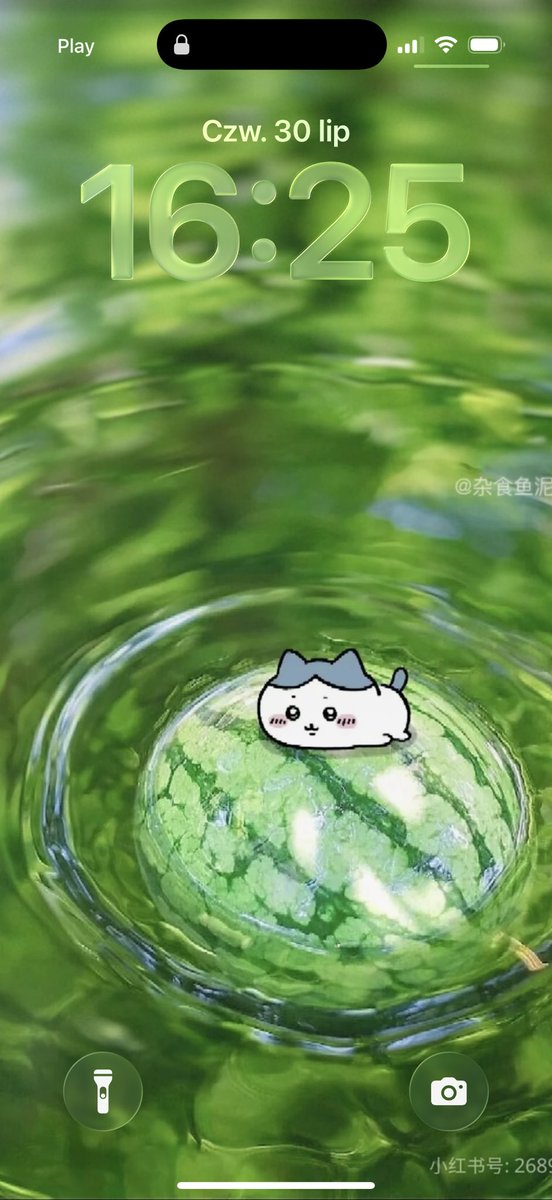 amihiyme's tweet photo. is my wallpaper cute or no https://t.co/rYkDRmwuwh