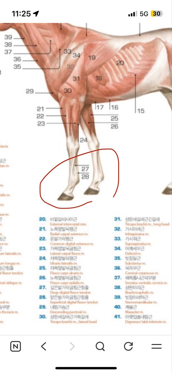 pm4865's tweet photo. 극중 언급되는 바미기르를 보면서 다리가 한번 더 꺾여 있다고 말하는 장면 https://t.co/87V74ZPpfi