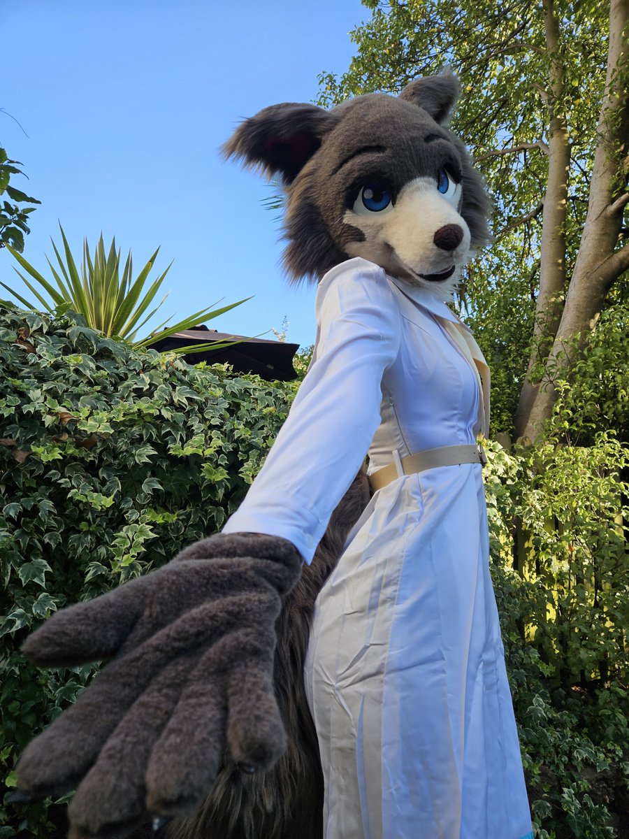 FurryWaifus's tweet photo. Let's take ibuprofen together💞 https://t.co/HrGfYWhLKu
