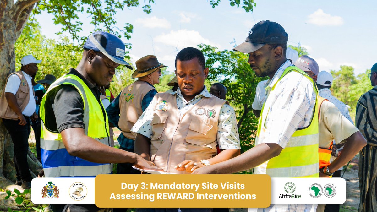 RewardGambia's tweet photo. 𝐃𝐀𝐘 𝟑: 𝐌𝐚𝐧𝐝𝐚𝐭𝐨𝐫𝐲 𝐒𝐢𝐭𝐞 𝐕𝐢𝐬𝐢𝐭𝐬

Mandatory site visits continued in CRR North as prospective bidders inspected Lot 4 intervention sites, ensuring a clear understanding of project requirements before bid submission. https://t.co/Zy0ZBxgpTl