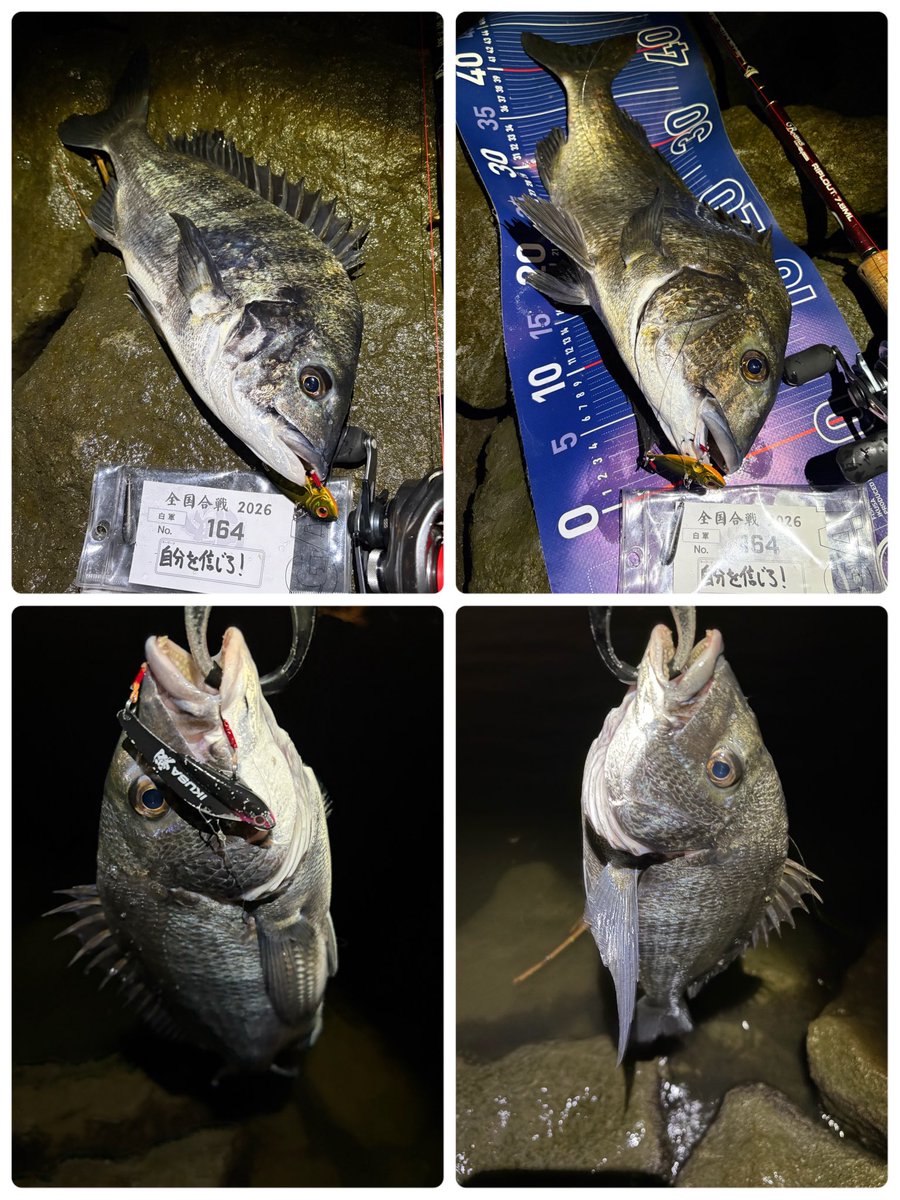 tnyn252525's tweet photo. 夜釣り🎣クロダイ🐟×5釣れました🙂
IKUSA全国合戦⚔️🔥最後の悪あがき
サイズアップの道は遠く険しいです😅
#OSP
#fishman #リプラウト78ML https://t.co/s3q1gu6w1R