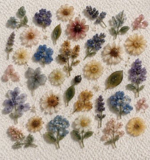 lunecrumbss's tweet photo. tiny flower buttons https://t.co/vrbyCj7j4l