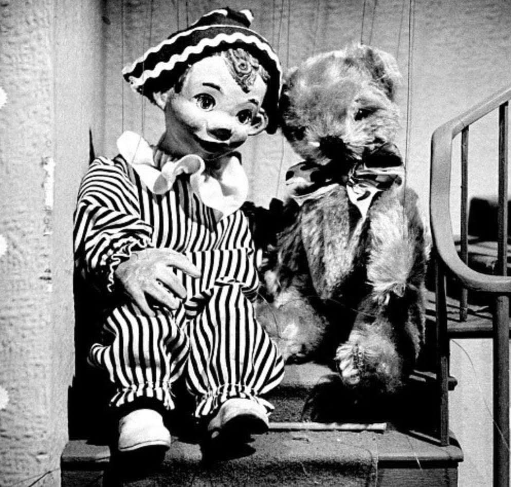 SolihullUpdates's tweet photo. Who watched #AndyPandy? 📺 #ChildhoodMemories #Solihull    

Andy Pandy is a #British children's television series that first aired on BBC television in 1950. https://t.co/i93BUEW1I1 https://t.co/60t6UMhSMD