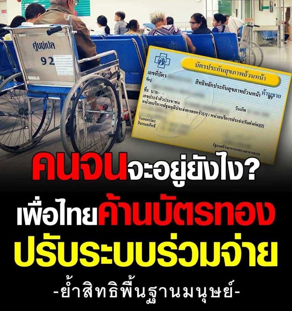 ทุบกะลา ท้าฝัน tweet media