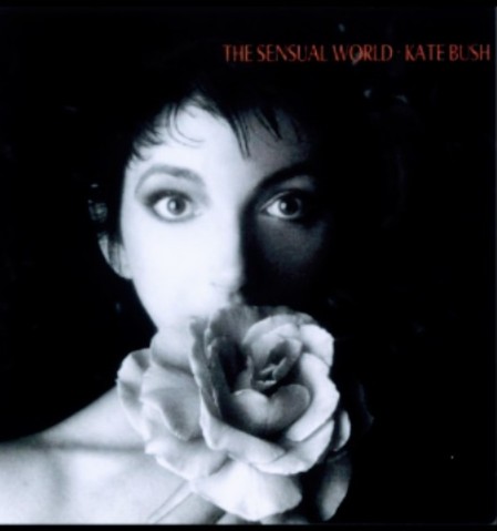 viola_vox's tweet photo. HBD   Kate Bush https://t.co/0qCvWD5KZh
