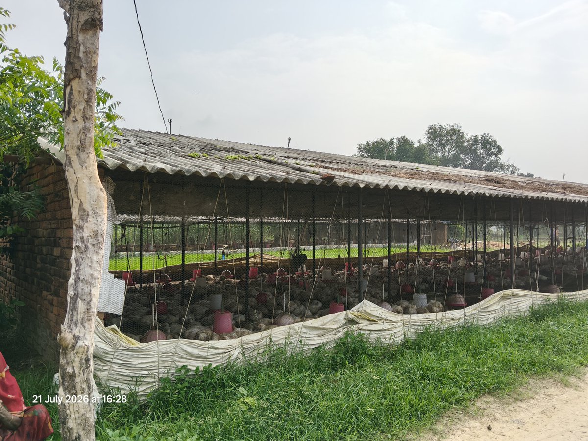 c9hariom's tweet photo. @uppcbofficial pls take action as instructed by @CPCB_OFFICIAL  This area belongs to Pratapgarh which comes under Raebareli so looping @UPPCB_RBL . FYI 2 weeks ago UPPCB Raebareli inspection UP32NU3802 came and found the violation however no action being taken yet. Evidence attached