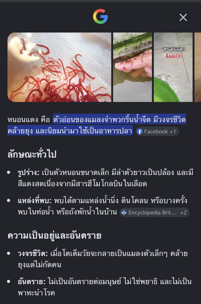 แพนเค้ก 🥞 tweet media
