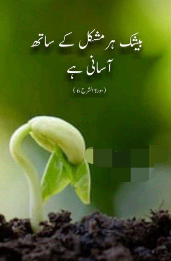 ChotiSheikhni's tweet photo. بےشک https://t.co/KTioRcYYd3