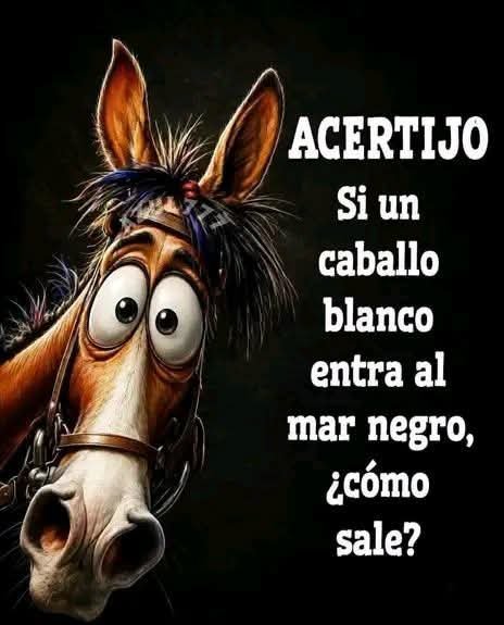 Dr_Blazquez's tweet photo. Acertijo vía @kitty_894 https://t.co/CxbkoBtRyc
