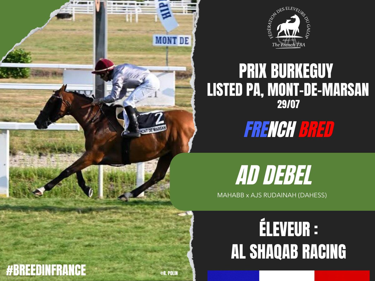 Fedeeleveurs's tweet photo. ☀️Félicitations à @AlShaqabRacing pour la belle victoire de AD DEBEL, fils de #Mahabb, dans le Prix Burkeguy, Listed PA à Mont-de-Marsan (29/07) ! 👏
#vivelelevagefrancais #breedinfrance #raceandcare https://t.co/LUHVeMVcIV