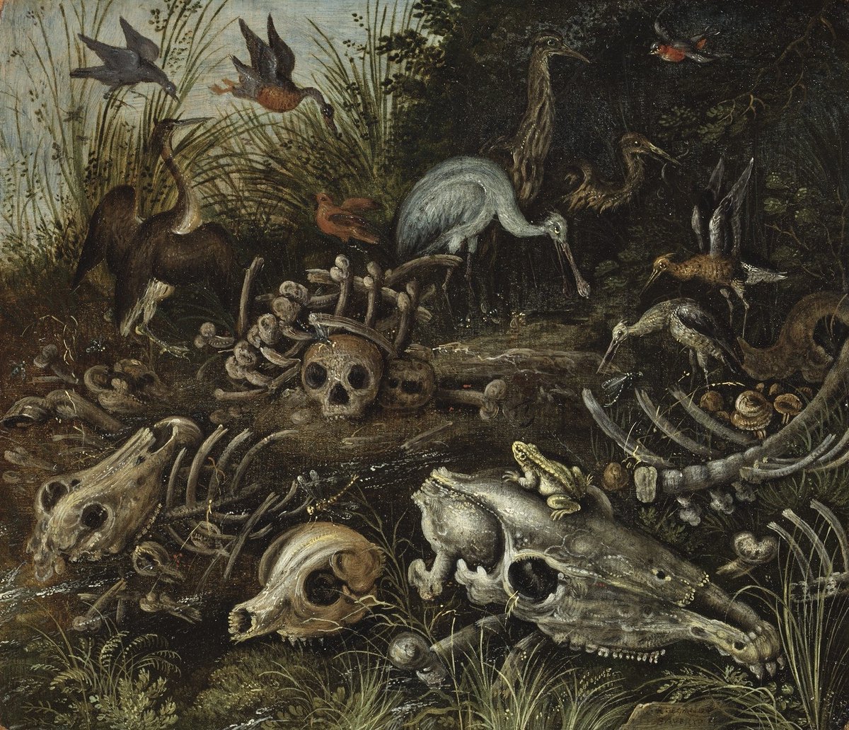venustapolis's tweet photo. Memento mori (Roelant Savery, 1600-09) https://t.co/RrvZfWoOJK