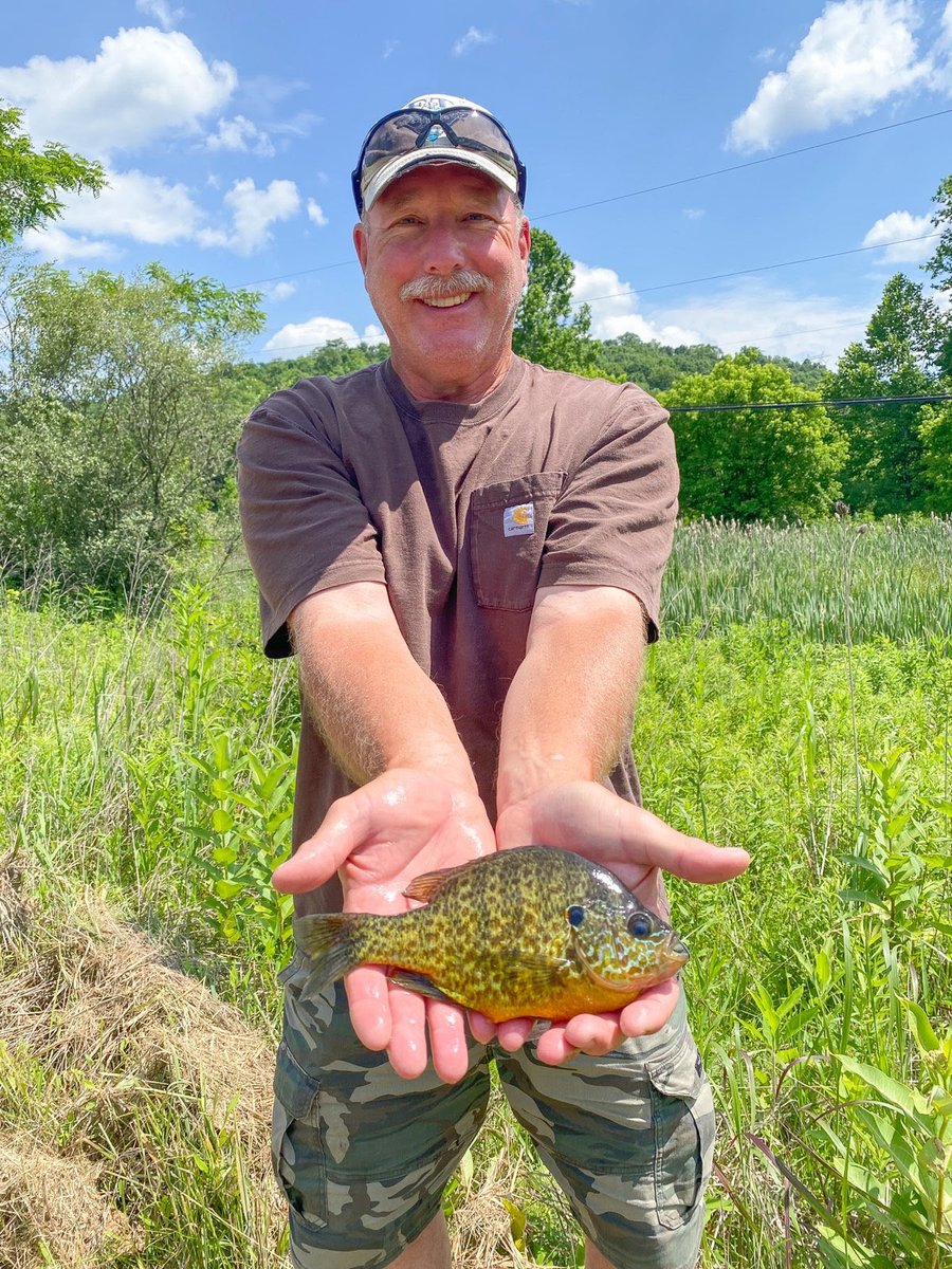 WVNews247's tweet photo. West Virginia's pumpkinseed sunfish state record was broken twice in weeks. Congrats to Sierra Adamson on her new record catch and Ken Neer for having the record briefly.
#WVFishing #StateRecord
Story link in comments 👇 https://t.co/l55XhCLolm