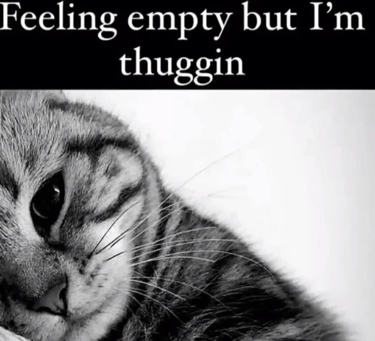 phemical's tweet photo. https://t.co/hd2J9gJlM3