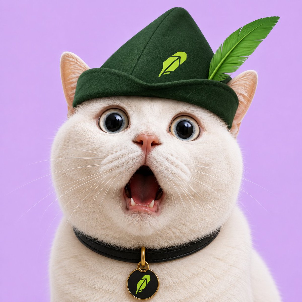 ShockCatRh's tweet photo. @SizeChad $SHOCK on Robinhood Soon https://t.co/jRsHNwmztr