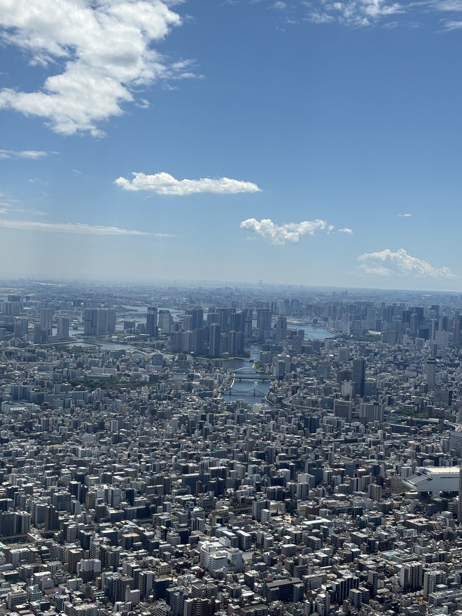 nb_teshi's tweet photo. 東京は日中から暑くてへろへろだったけど
参拝して、景色も見て、美味しいもの食べて、ライブで音に浸り幸せ時間だった〜✨

高い場所に来たら、まだ自分もこれから上がって行けるんだって希望を持てたよ！！
まだまだ負けてらんないっ🔥🔥
磨くことを怠らず明日に繋げよう！！
明日も輝けるように✨ https://t.co/jeslP1sJnm