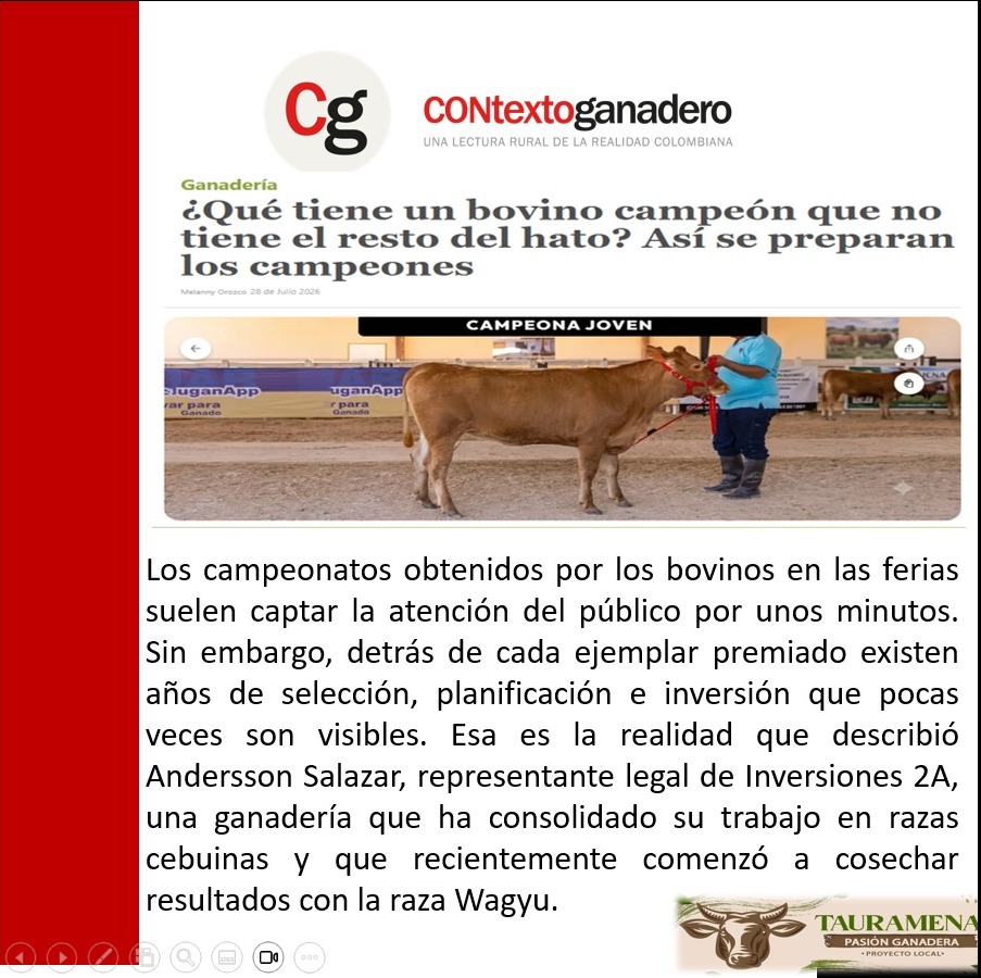 PTauramena's tweet photo. Los reconocimientos en las pistas son el resultado de un proceso que combina inversión genética, evaluación técnica, entrenamiento y disciplina productiva.
https://t.co/fZL12eWh4G @jflafaurie  @Fedegan  @PL_Zipaquira @PL_LaDorada  @PL_Chiquinquira  @PlRiohacha https://t.co/cJAJ7Dk3Cv