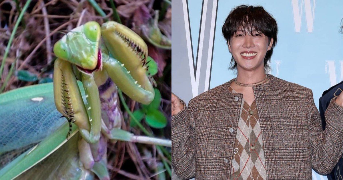Joonhute's tweet photo. @BTSJhope89708 @A45038Yeyie literally u r fav eww #molester #pornaddict #racist #ugly #ogrehope #jealousy the ugly man is unknown and will remains unknown that why you don't post him or talk about him.ugly flop if I were you I will be streaming his music right now idiot or u like his music 😭😭🤣🤣 #jhorse https://t.co/65sF0Oghvp