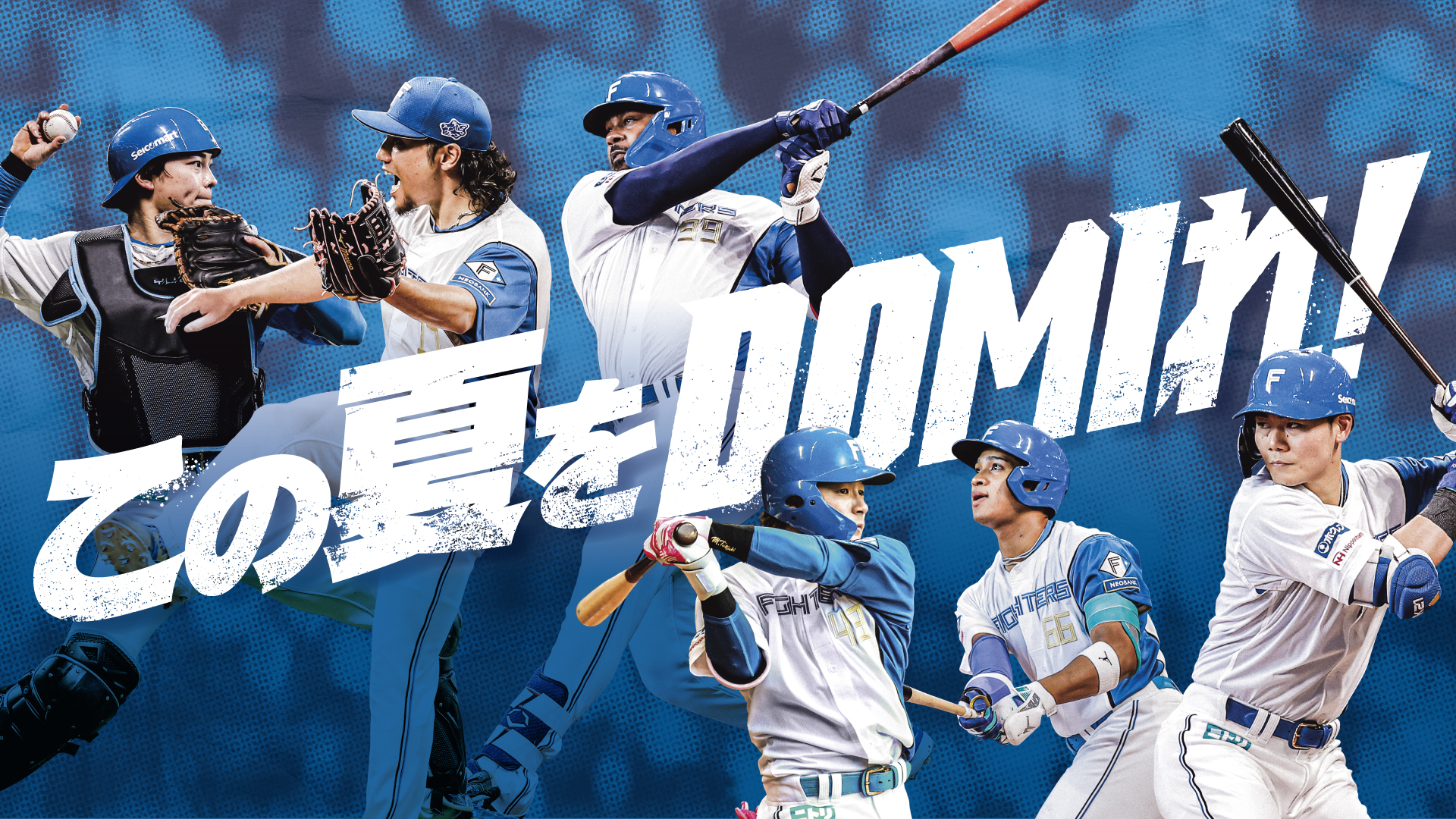 北海道日本ハムファイターズ公式 on X: 