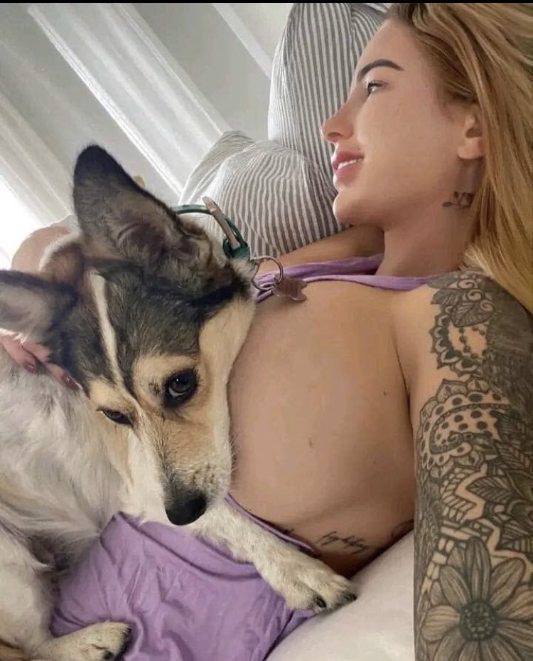 PinhoRarisson's tweet photo. Watch me get knot hard by my paps🐾🐶 on Live stream 👇
 https://t.co/iJEo3TUFvc
#zoosarevalid #beastiality #dogknot #zooprideisvalid #zoophile #antizoo #antizoophileantizoo #k9girl #zoopride
#zoophilepride #zoopositivity #Bestiality #hypnotistsappho https://t.co/hCsM8LfbrE