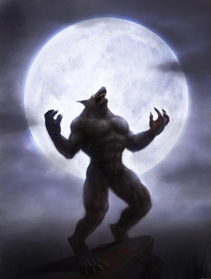 wolfimwolfawwww's tweet photo. https://t.co/EHX4Uo8Ypg