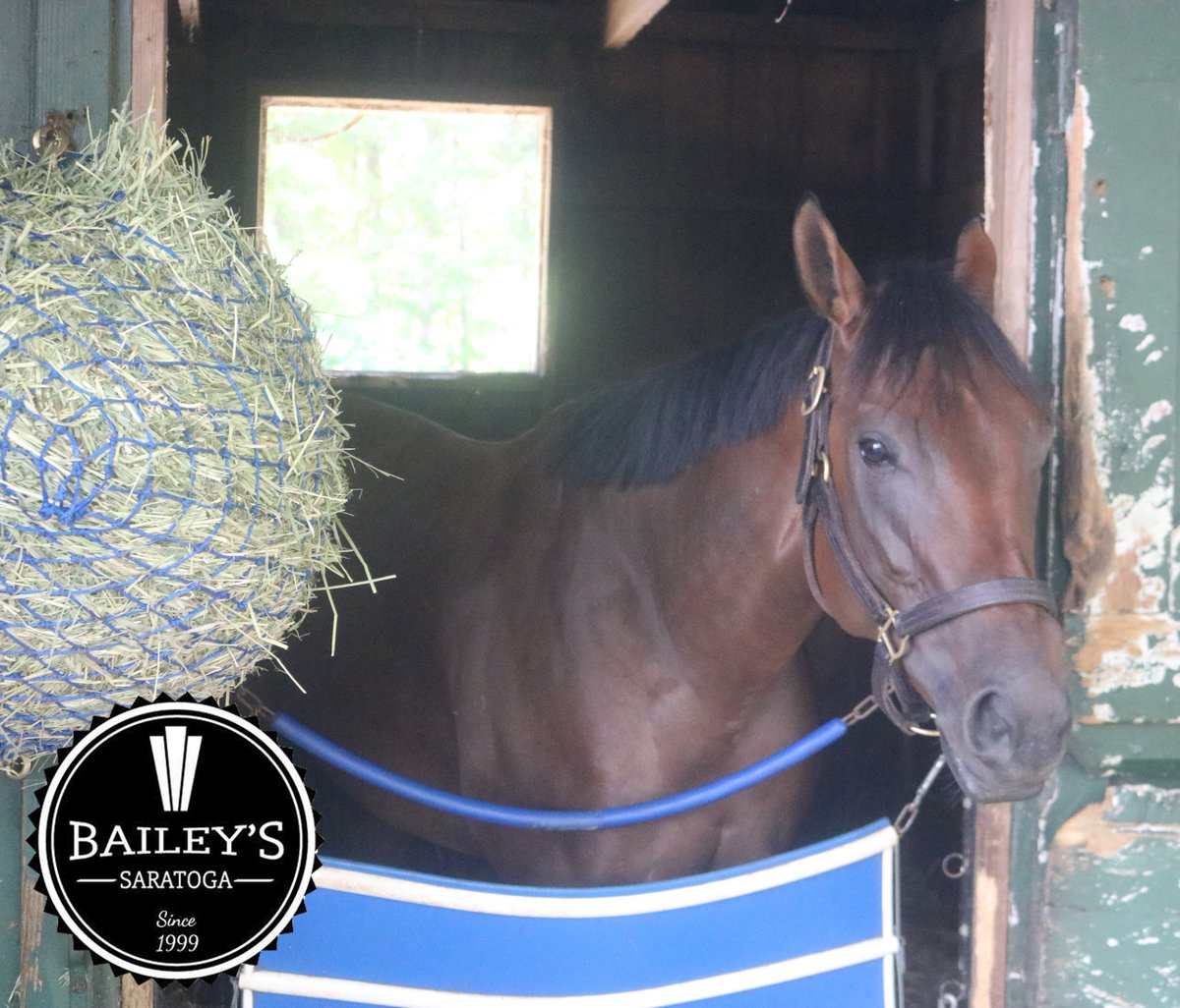 America’s Pastime Stables tweet media