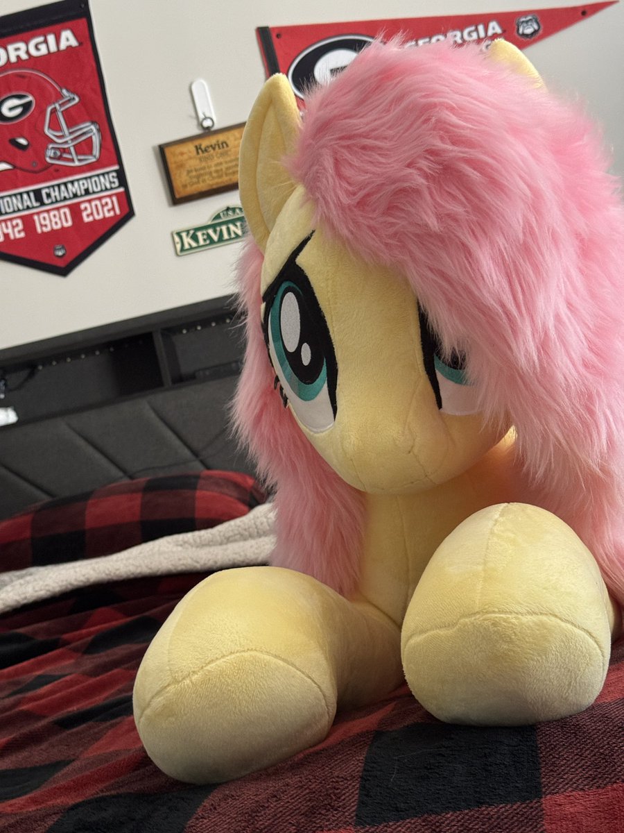 HappyLight03's tweet photo. She has Arrived!!!
#mlp #plush #mares #brony #fluttershy https://t.co/ty55QaFNi8