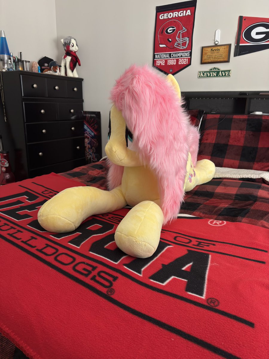 HappyLight03's tweet photo. She has Arrived!!!
#mlp #plush #mares #brony #fluttershy https://t.co/ty55QaFNi8