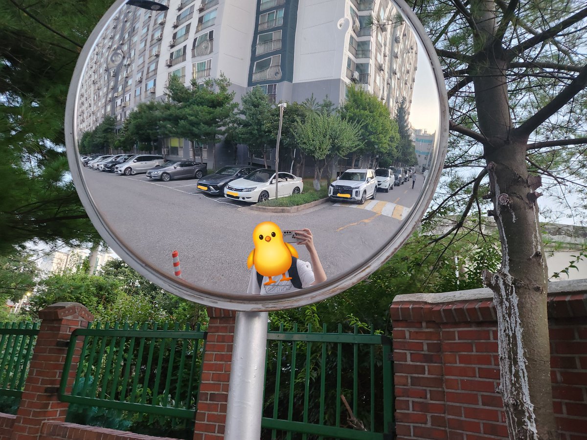 edajohc2N's tweet photo. #study #studytwt #공부계 #공부 
- 비상사태 🚨 이걸 언제 다 읽지
오늘은 새벽 공부 해볼게요!

- 여름은 여름인지 도서관 가는 길이 너무 너무 더웠드아! 못참고 아아수혈

- 졸음번쩍 껌이랑 커피 있으면 새벽도 버틸 수 있어! 🤖 https://t.co/dutHN6BnRM