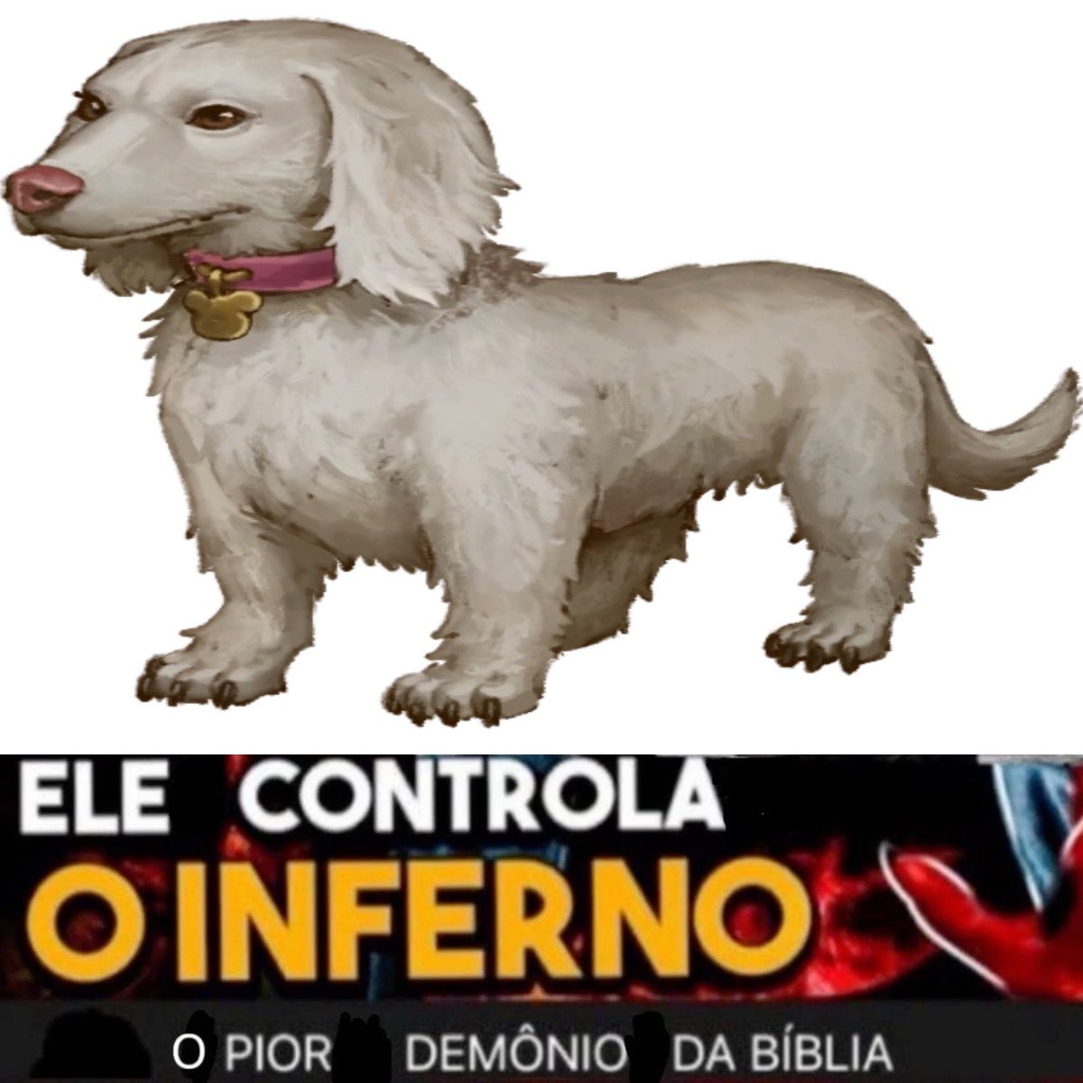 sccpcohen's tweet photo. Pensando que o cellbit narra que as duas rotwailler ficam agressivas vendo o joto pq é o cãozinho que elas tão a muito tempo tentando pegar 

Agora, COMO FOI que este CÃO DE APARTAMENTO passou 3 dias fugindo de dois cão de caça??? https://t.co/KS3x7K4VdY