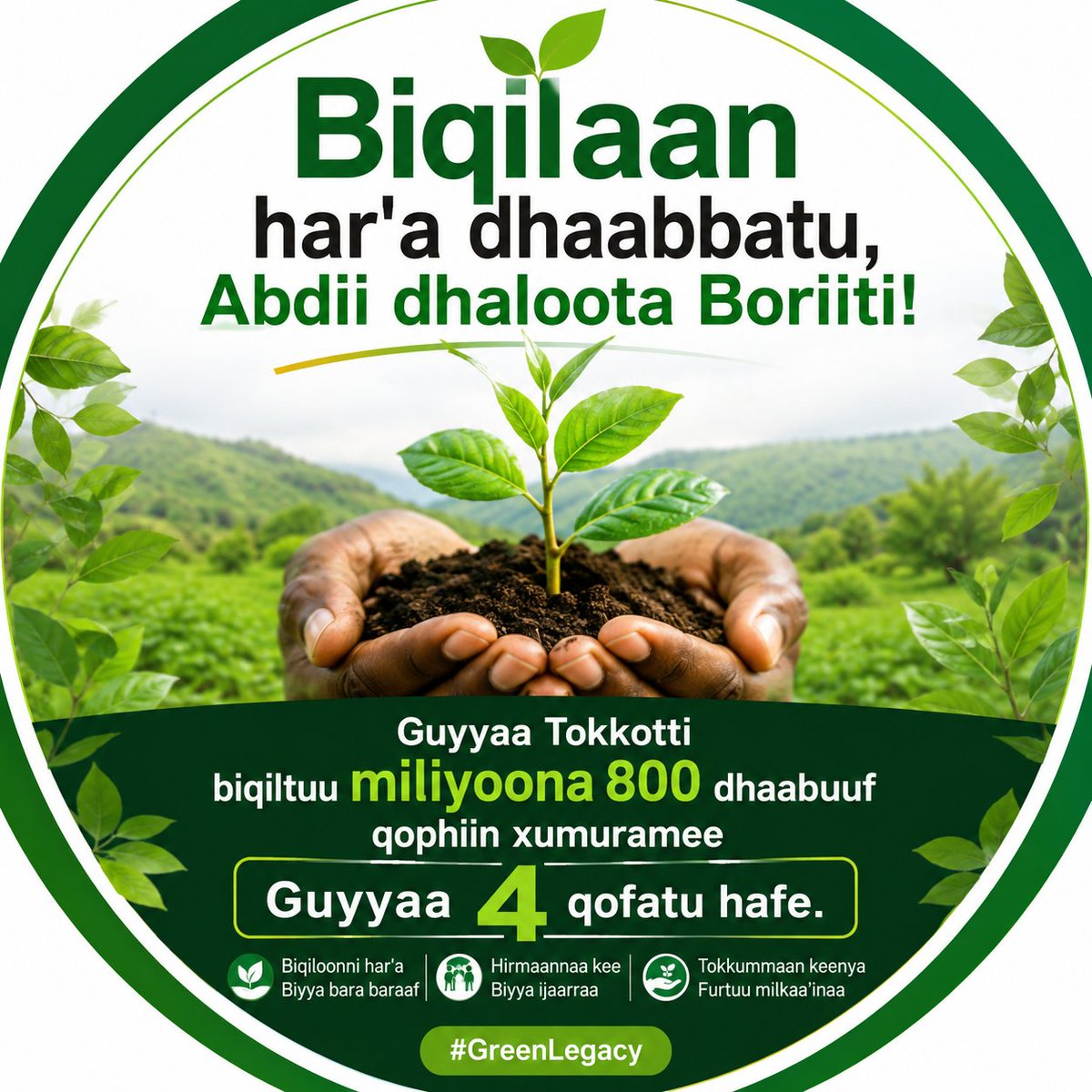 ZuberAbagiddi's tweet photo. Biqilaan har'a dhaabbatu, Abdii dhaloota Boriiti! https://t.co/3KNaRUKPVP