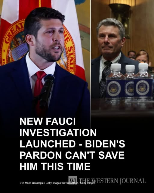 KennethFCrowe1's tweet photo. A new Fauci investigation is underway.
And this time, a Biden pardon may not be enough to stop it. https://t.co/9aL1onYZ9k