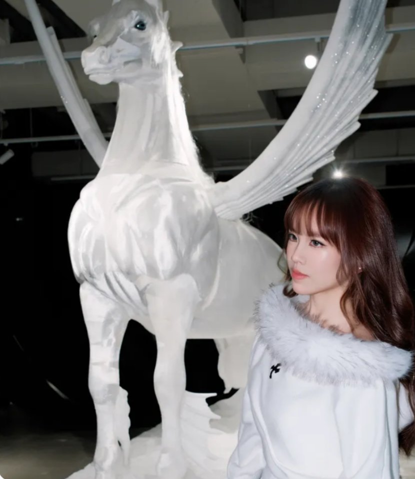 Yayogami 玉白菜 tweet media