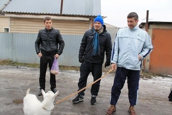 shkotobaza's tweet photo. "Limp Bizkit бегают с козой по Криводановке (село в Новосибирской области). 
2015 год https://t.co/IiEGDRwweg