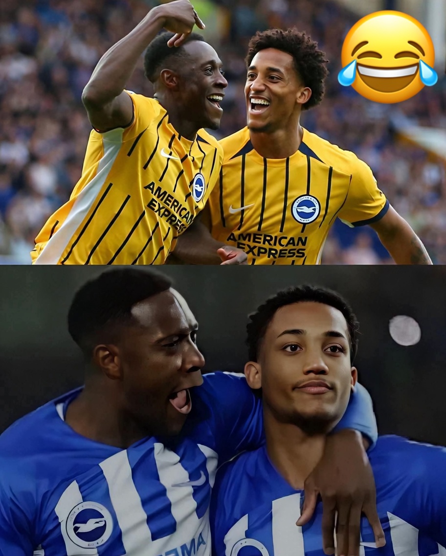 tchato18's tweet photo. 🚨OFFICIAL : João Pedro and Danny Welbeck playing as teammates in Brighton. https://t.co/Ej3Rt4lozA