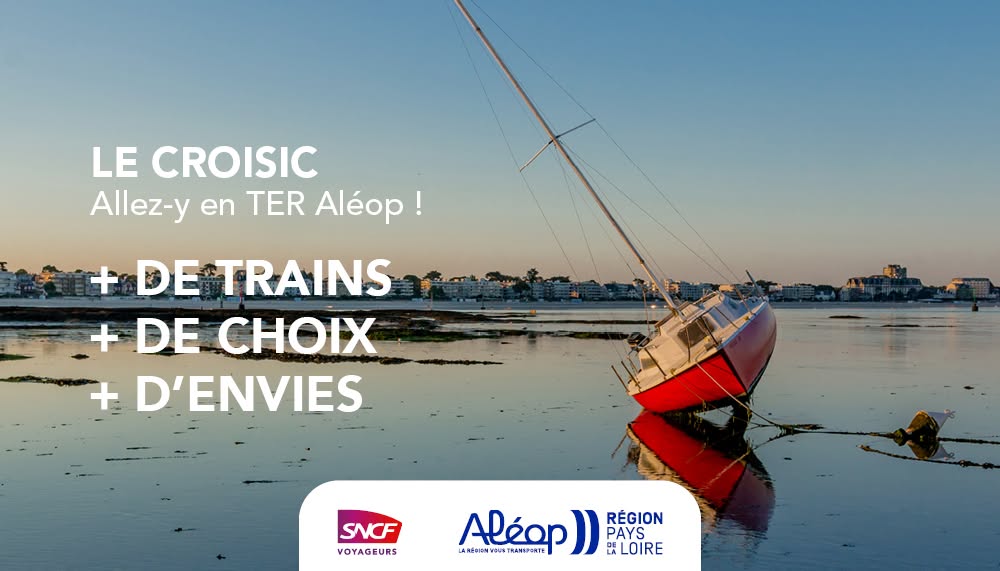TERPays2LaLoire's tweet photo. 🚆✨ Certaines lignes circulent plus, pour vous offrir des trajets plus réguliers. Consultez les horaires à jour sur notre site et préparez vos prochains déplacements.
Lignes concernées :
L1⃣ : #Nantes↔️#StNazaire↔️#LeCroisic
L2⃣ : #Nantes↔️#Redon
➕d'infos par ici 👉 https://t.co/TjxqvZalQw