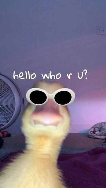Queen123456_'s tweet photo. Hello ‼️
Who are you ⁉️ https://t.co/QwrHtydaUb