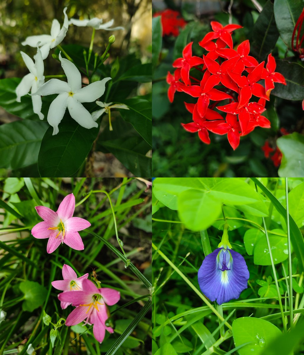 spaceguy_24's tweet photo. Four Seasons ✿ https://t.co/xdsbrHsv7E