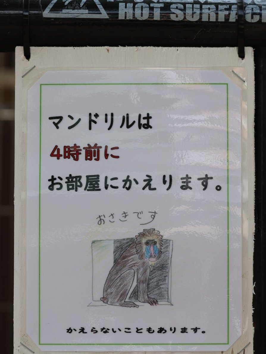 teichan2014's tweet photo. ジョディさんのところの掲示
とても可愛いです💕
2026.7.28
#市川市動植物園　#マンドリル
#ジョディ https://t.co/X2jdmEksdA