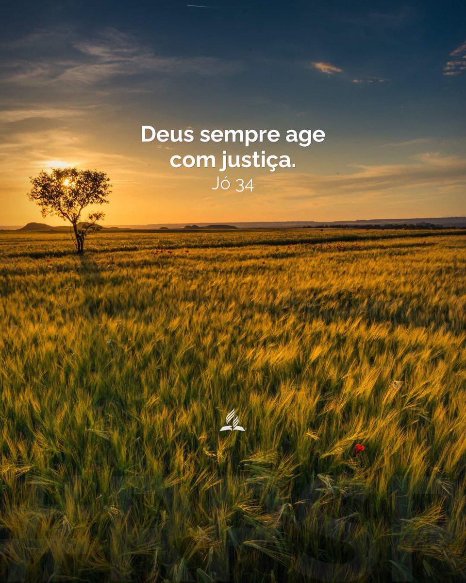 amazonasroraima tweet picture