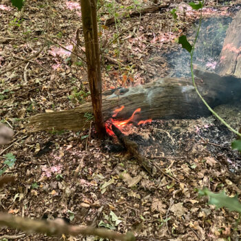 Epping Forest DC tweet media