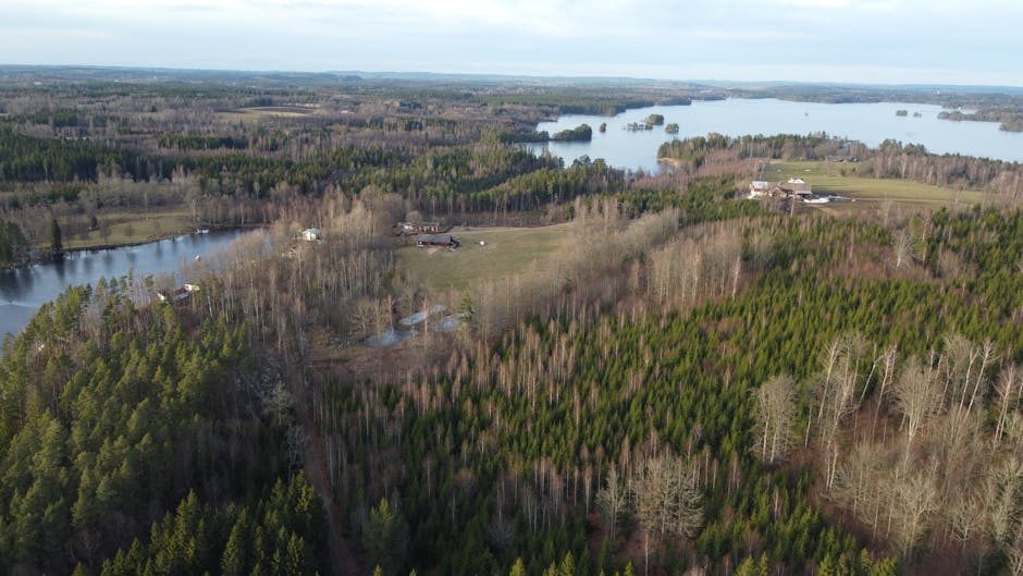JonathanCahh's tweet photo. أن تكون أعمالك لنجاح لا حدود دعمك آمل لها. مثل شبكة الأمان. شكرا يا صديقي. lolita gramlich🏮 https://t.co/0kzWc733Qf