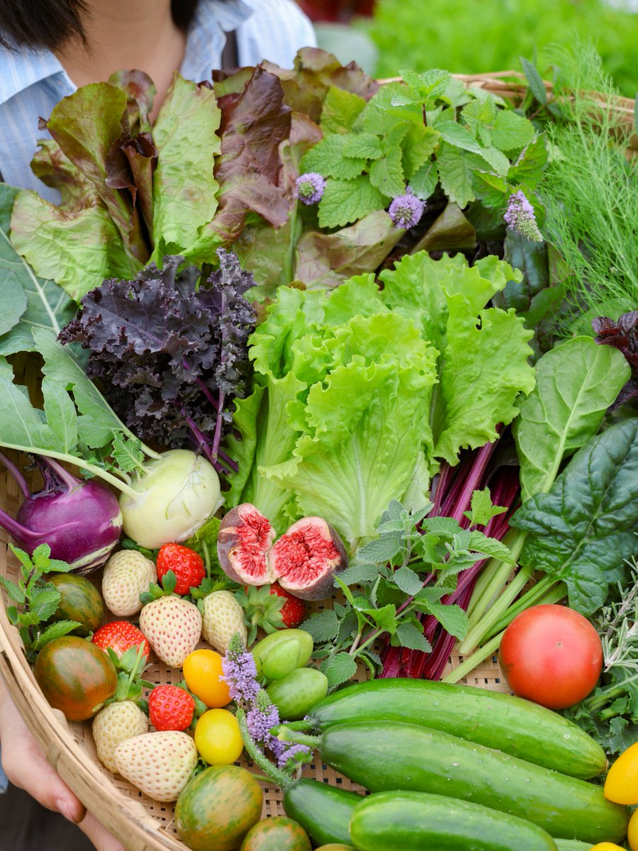 AlitaMormile's tweet photo. Met Mr. u0026 Mrs. Henderson next door this morning over fresh lemonade! Shared our summer tomato harvest u0026 bonded over backyard garden tips. Community vibes hit different ， https://t.co/YmgDUcXNZl