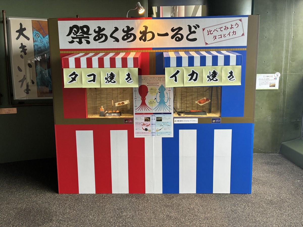 giko91's tweet photo. シュールな展示🦑🐙 https://t.co/ZyQyPgk804