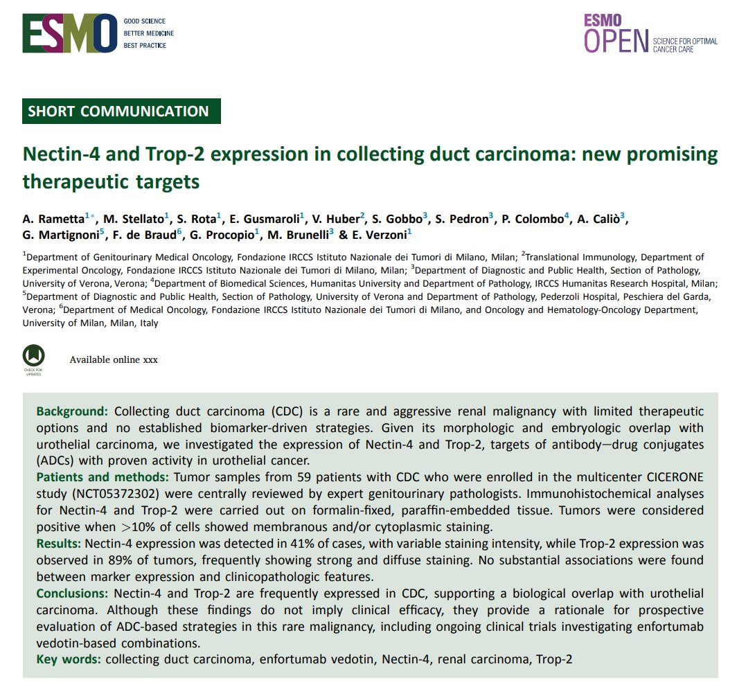 g_procopio_'s tweet photo. New data in @ESMO_Open : among 59 centrally reviewed collecting duct carcinoma cases, Trop-2 was expressed in 89% and Nectin-4 in 41%, supporting further investigation of antibody-drug conjugates in this rare disease.

https://t.co/wuuASnfr0b

#KidneyCancer #RareCancer https://t.co/V8Smved4Lj