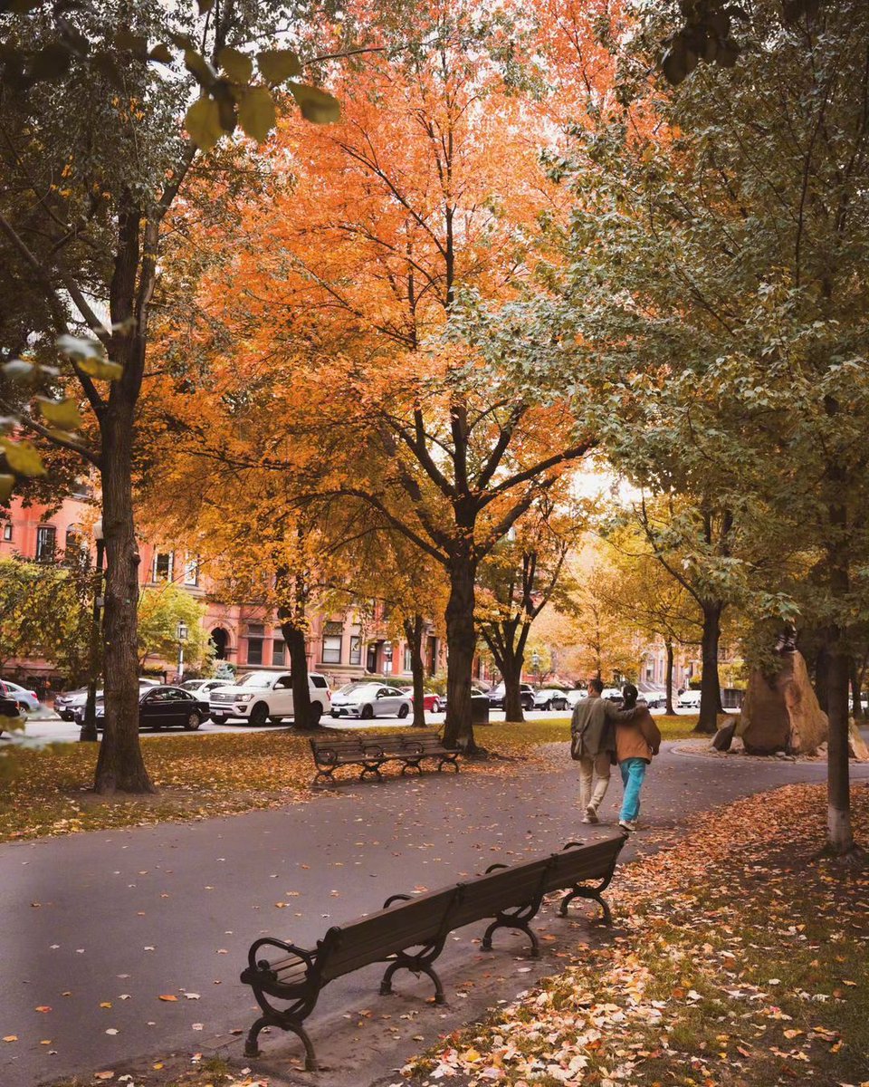 RosiaOvitt0g's tweet photo. Beautiful autumn morning with golden maple leaves falling gently—perfect for a cozy coffee walk!， https://t.co/i8cA2Wi6Mz