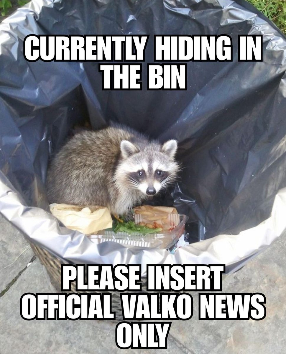 MisaChapters's tweet photo. Temporary raccoon status: emotionally in the trash, standards still immaculate. 🦝🧡

#ValkoIsLoved #ValkoIsValuable #BringValkoBack https://t.co/RsEY08eedr